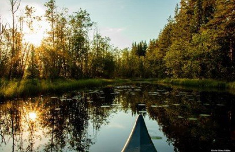 KLARÄLVEN (meerdere tochten)