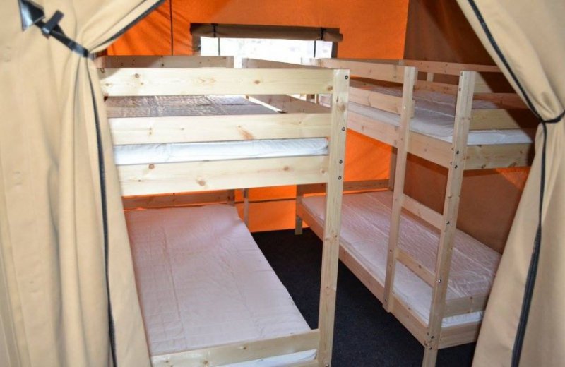 Glamping Safaritent Woody slaapkamer met stappelbedden