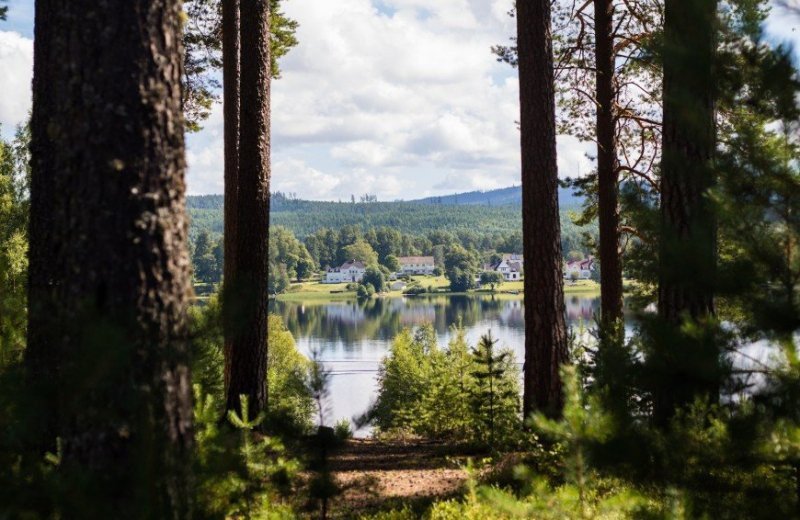 Uitzicht natuur zweden